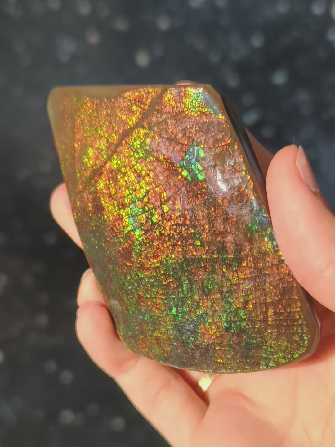 Ammolit Freiform aus Kanada AA-Qualität