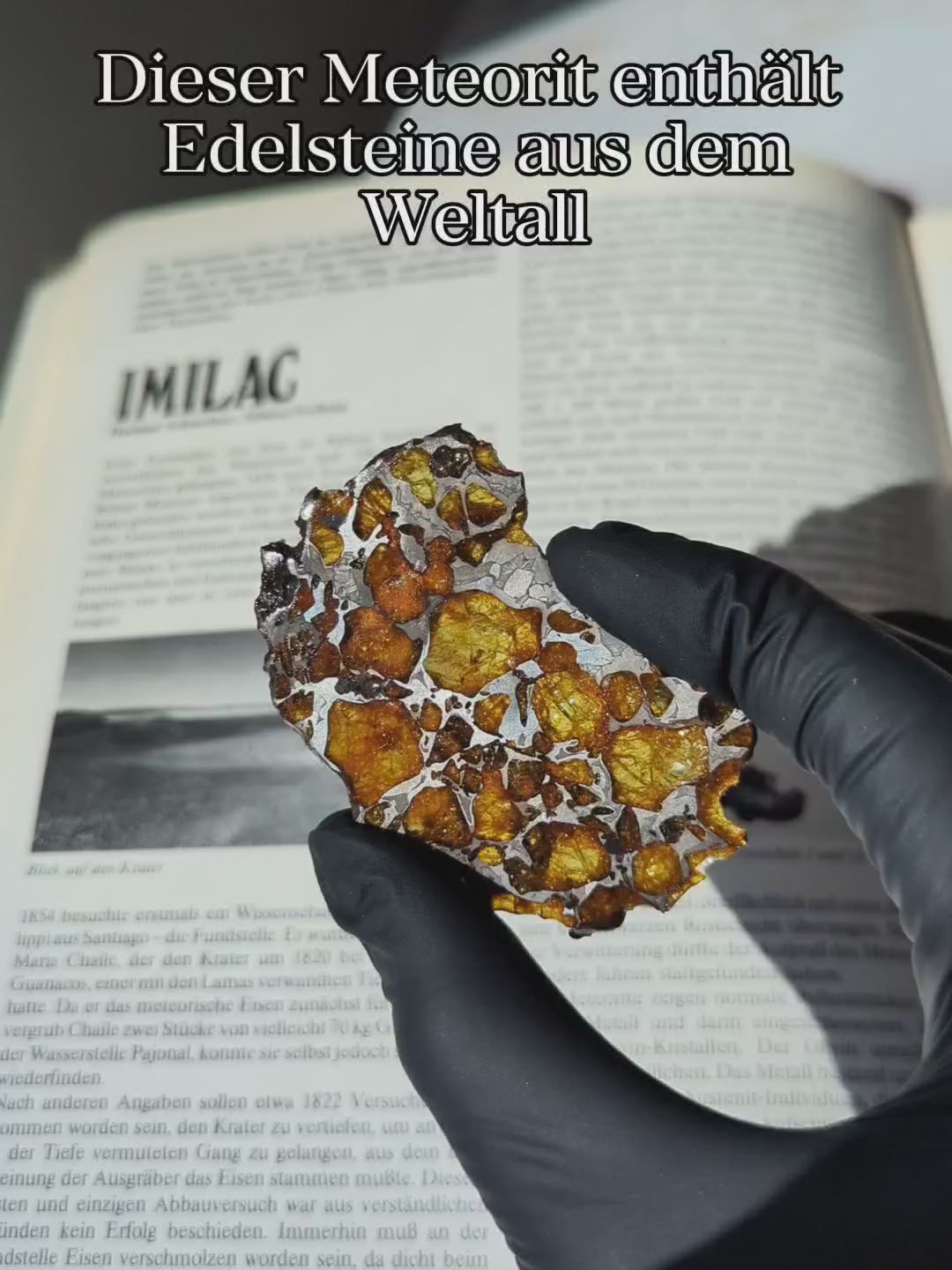 Imilac Pallasit Meteorit Scheibe 20.04g mit Zertifikat