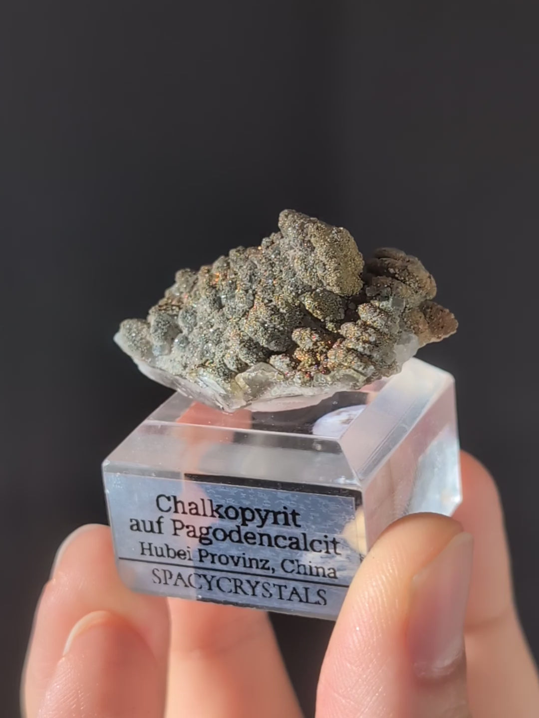 Chalkopyrit auf Pagodencalcit aus Hubei