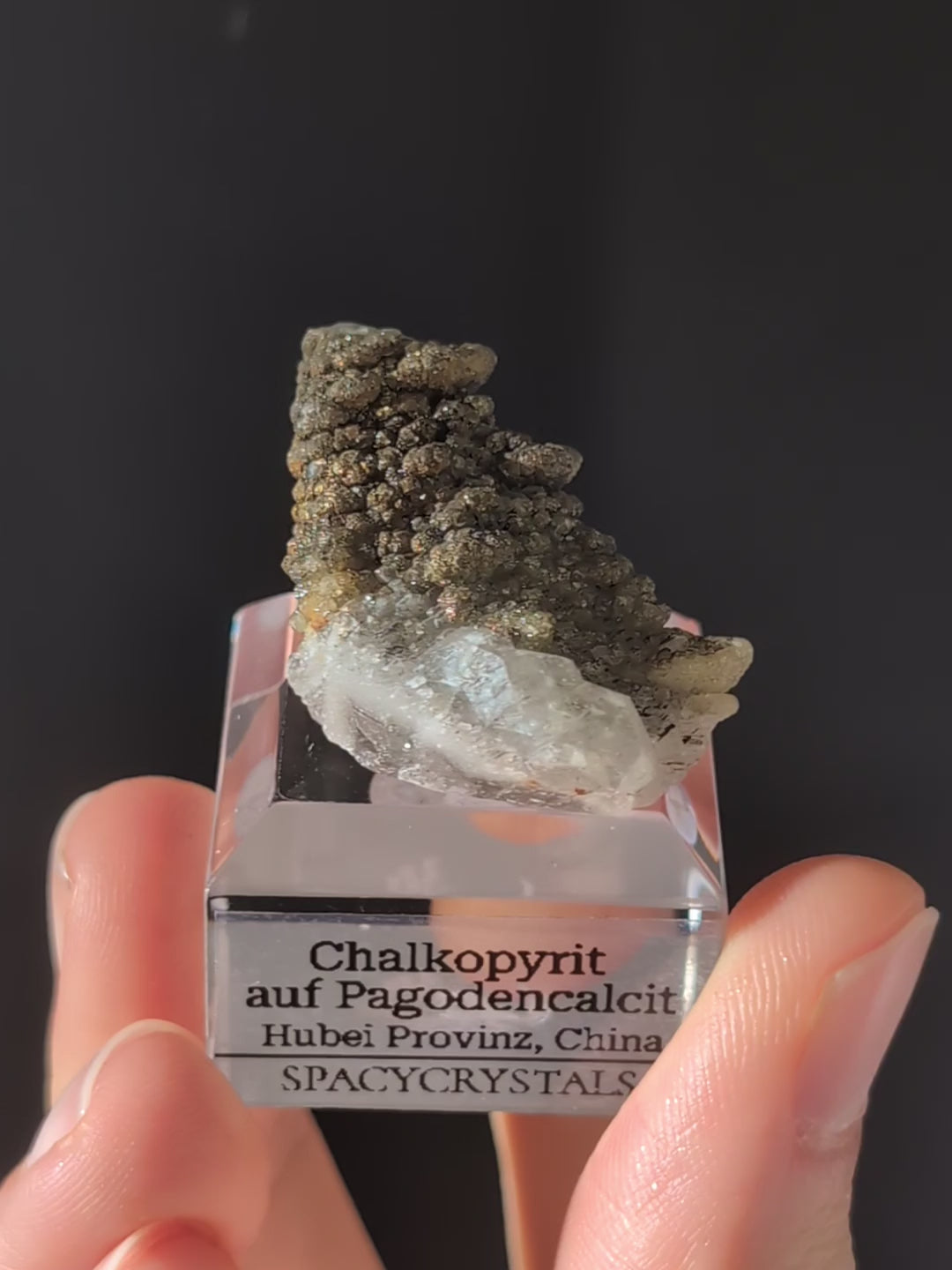 Chalkopyrit auf Pagodencalcit aus Hubei