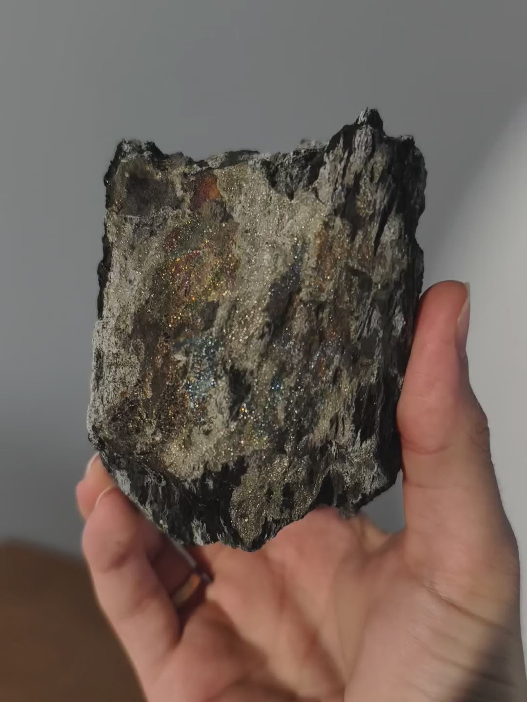 seltenes permineralisiertes Holz mit Regenbogen Markasit - Neuer Fund!