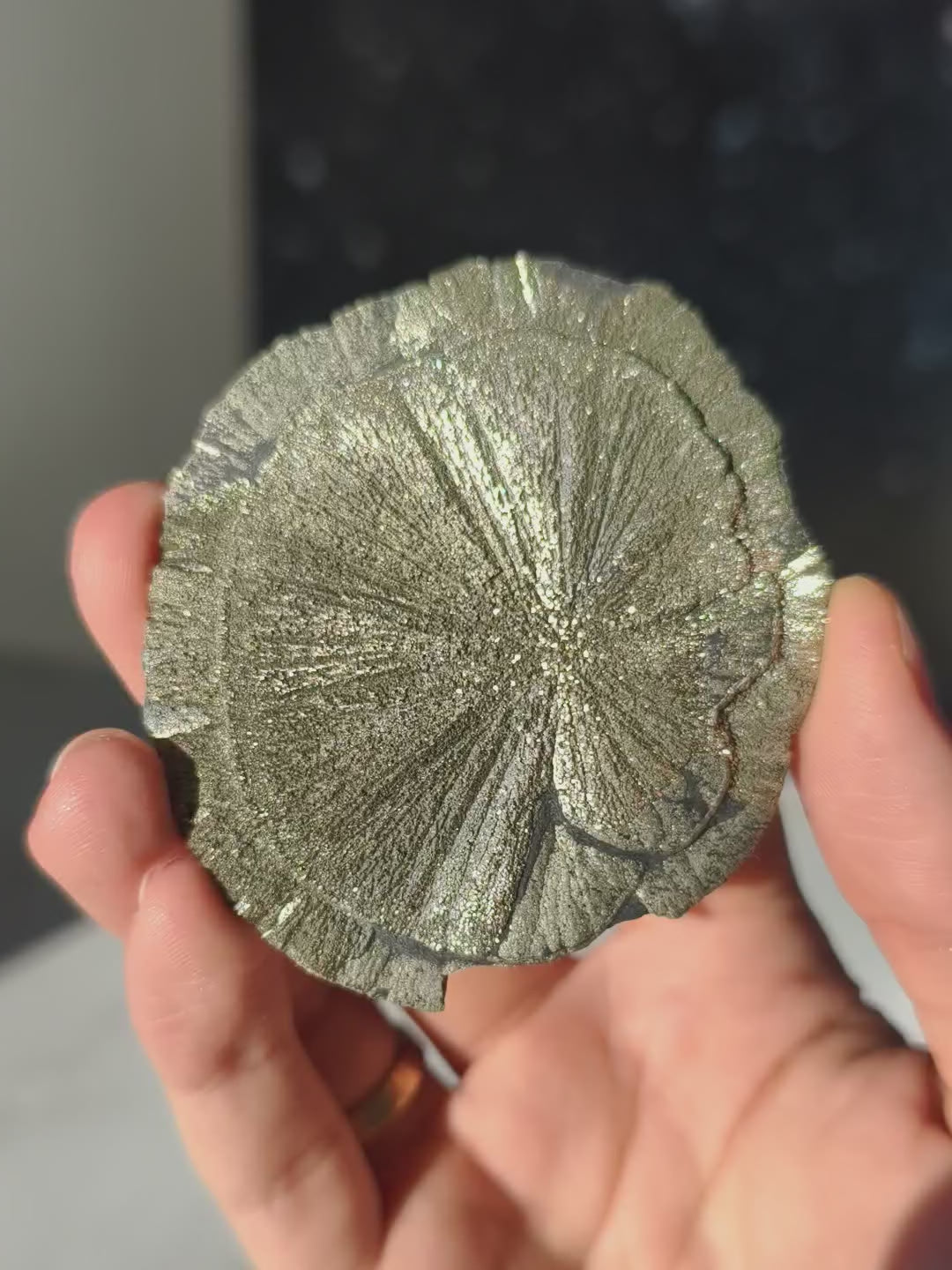 Pyrit Sonne Hohe Qualität aus Illinois