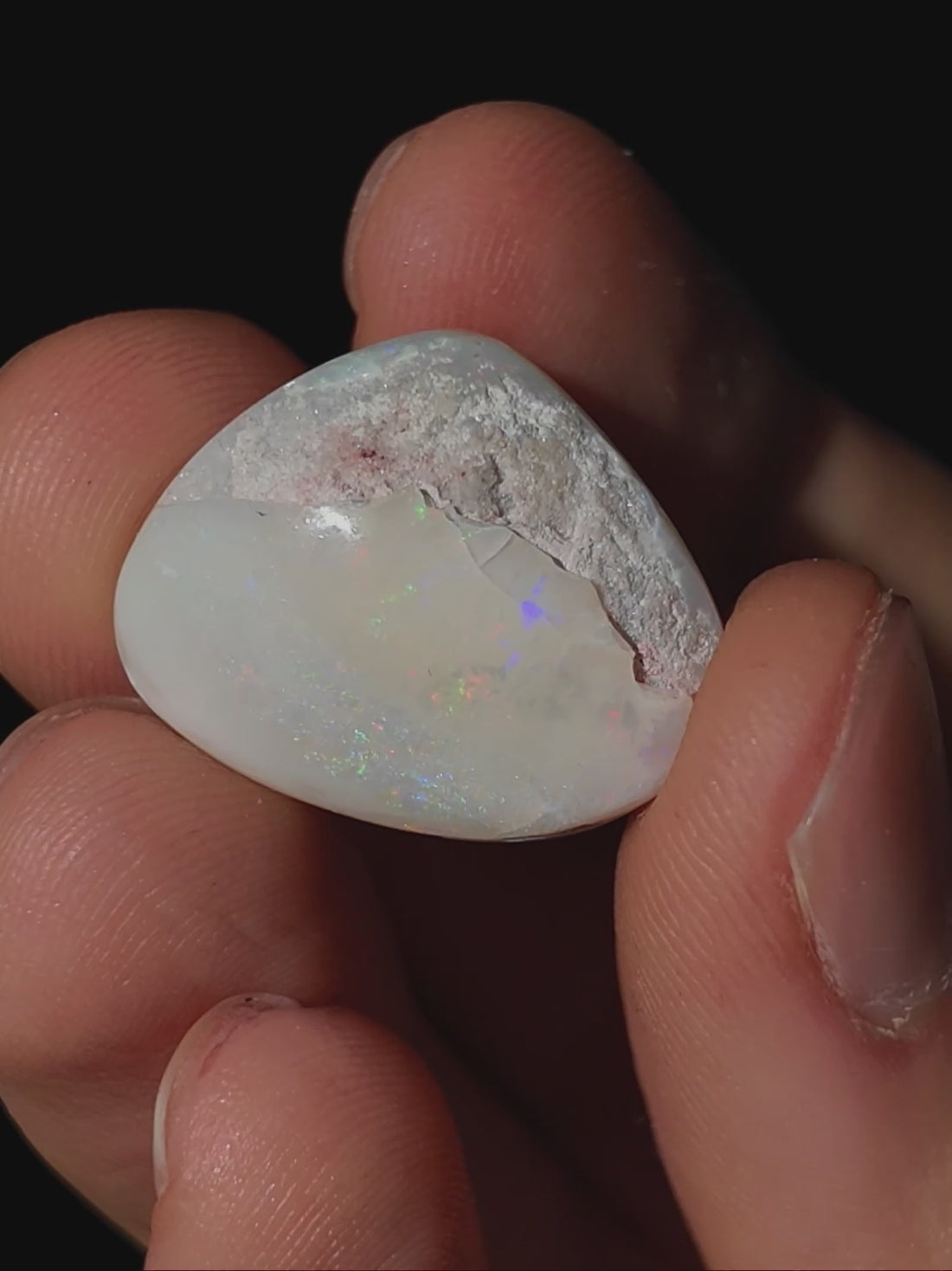 Opalisierte Muschel aus Australien