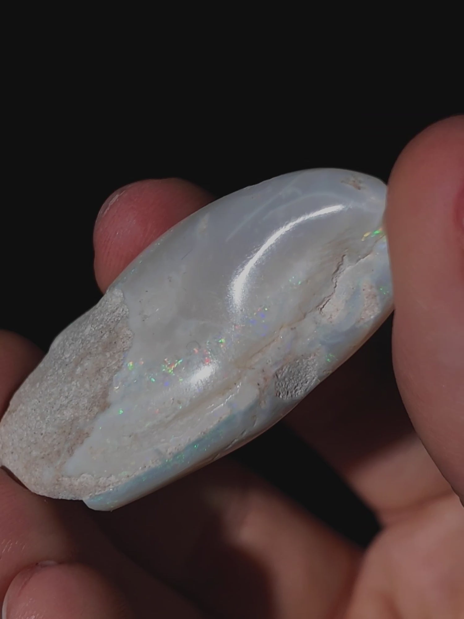 Opalisierte Muschel aus Australien (groß)