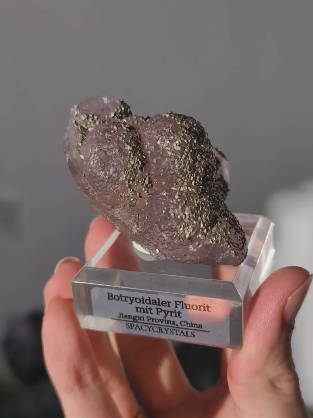 Botryoidaler fliederfarbener Fluorit mit Pyrit (besonders)