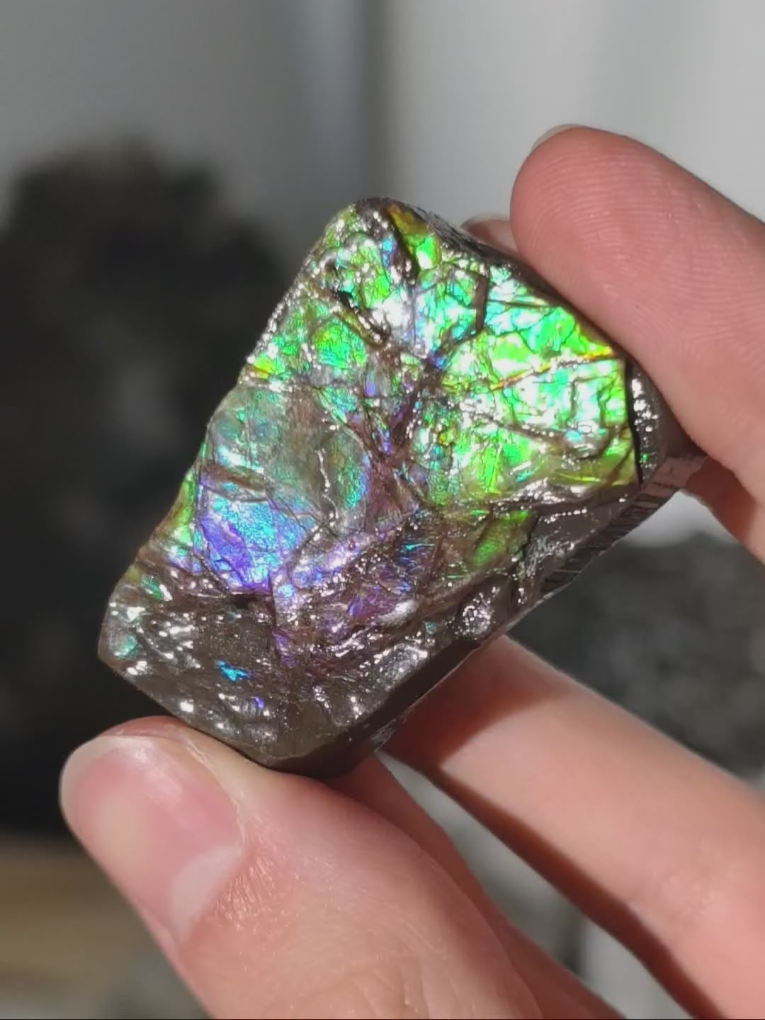 Ammolit Stück aus Kanada