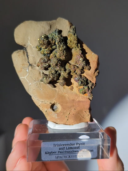 Irisierender Pyrit auf Limonit Wand