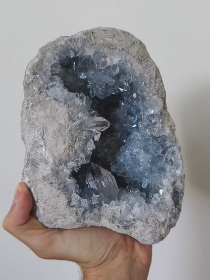 Große Coelestin Geode mit großen Kristallen! 💎