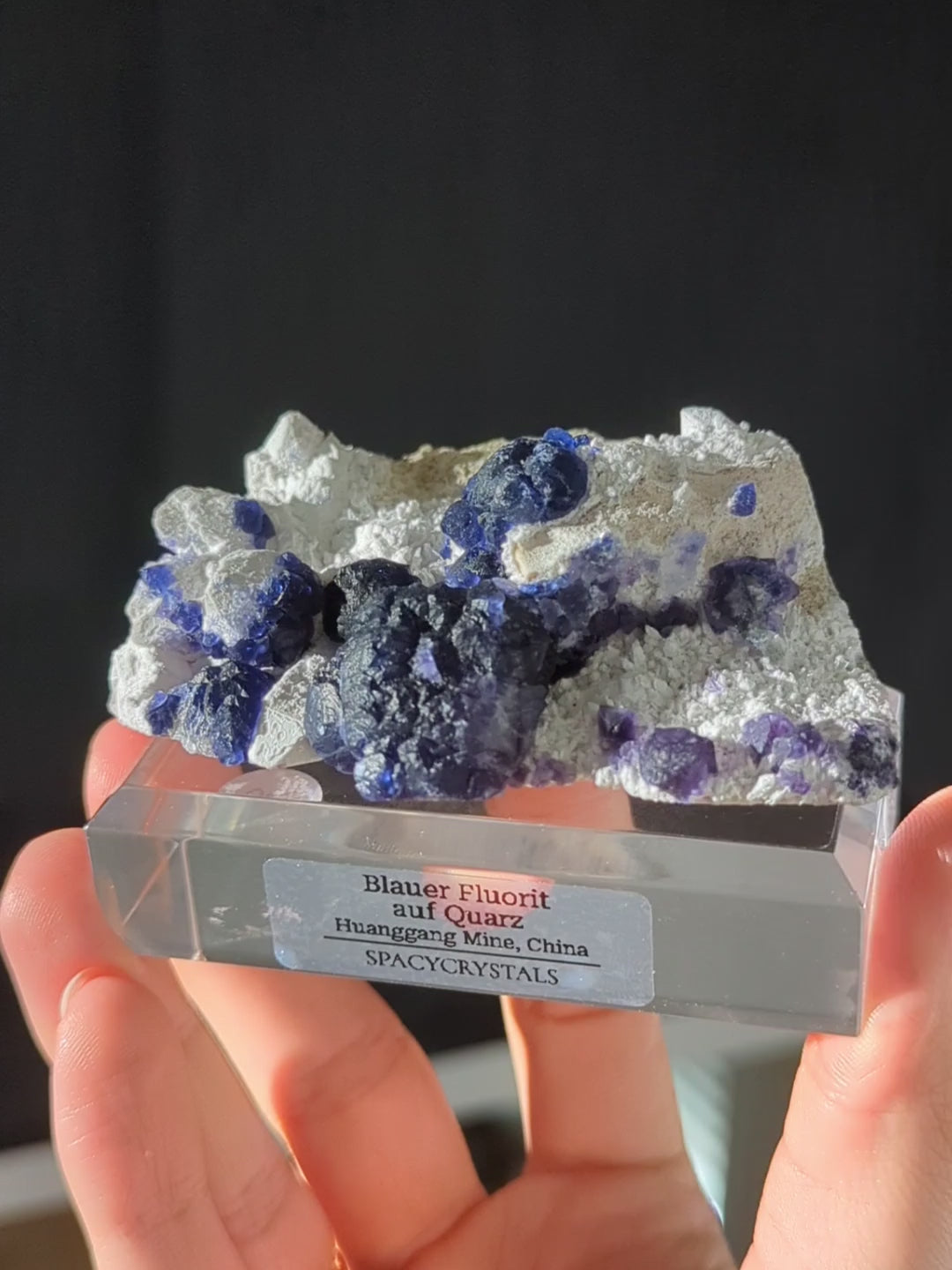 Blaubeer Fluorit auf Quarz 🫐 Huanggang Mine
