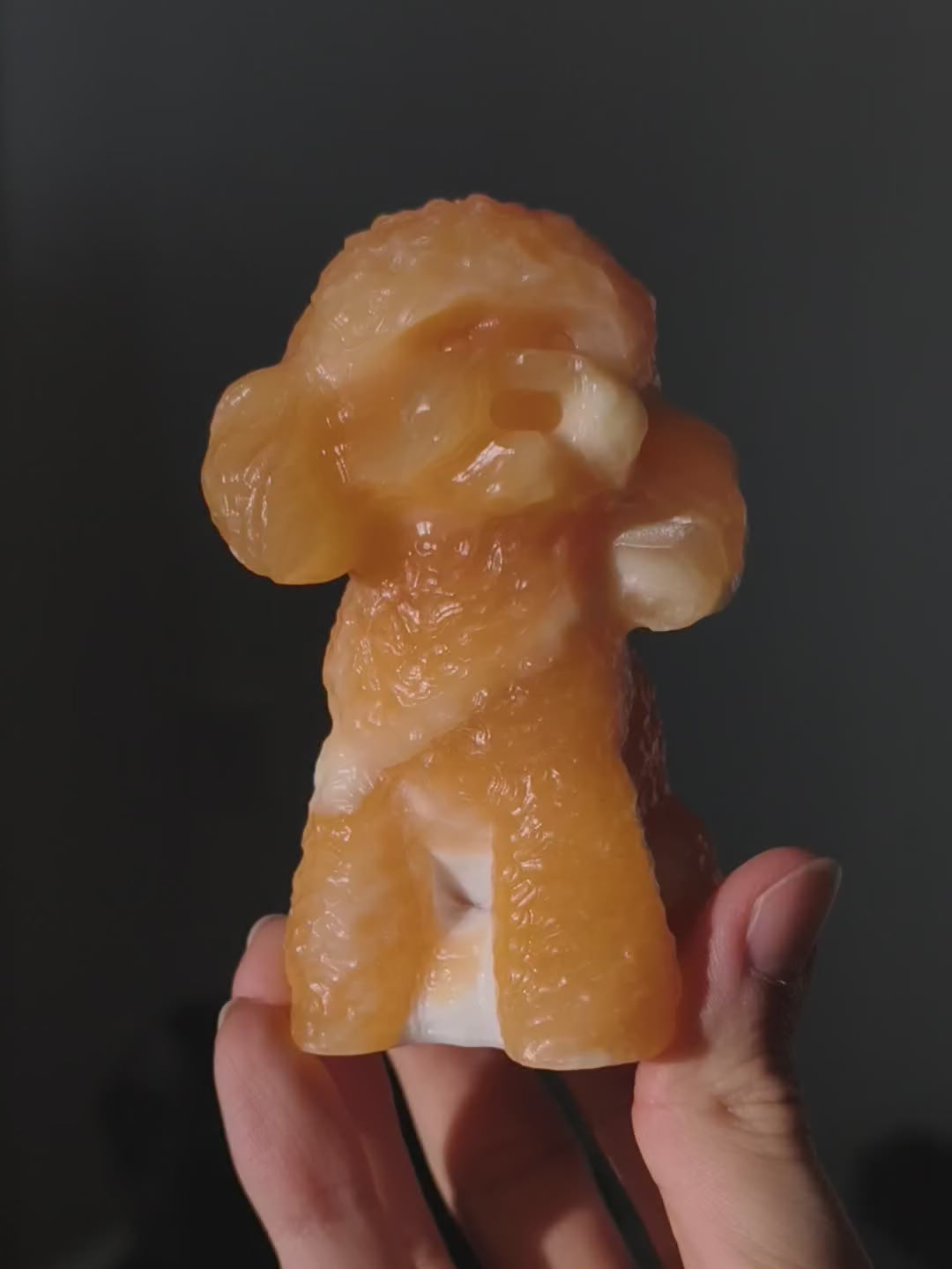 Orangencalcit Pudel Hund