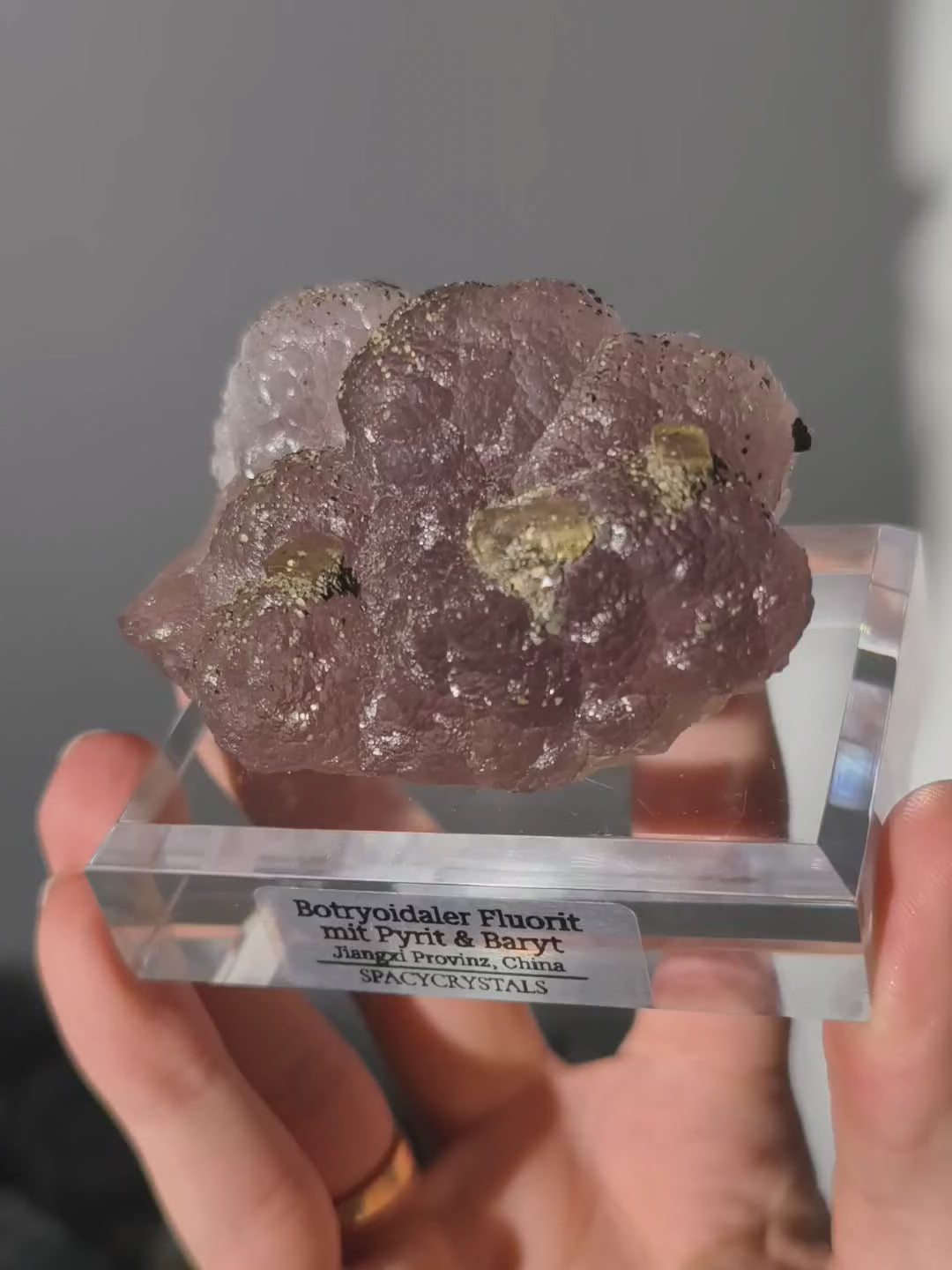 Botryoidaler fliederfarbener Fluorit mit Pyrit (besonders)