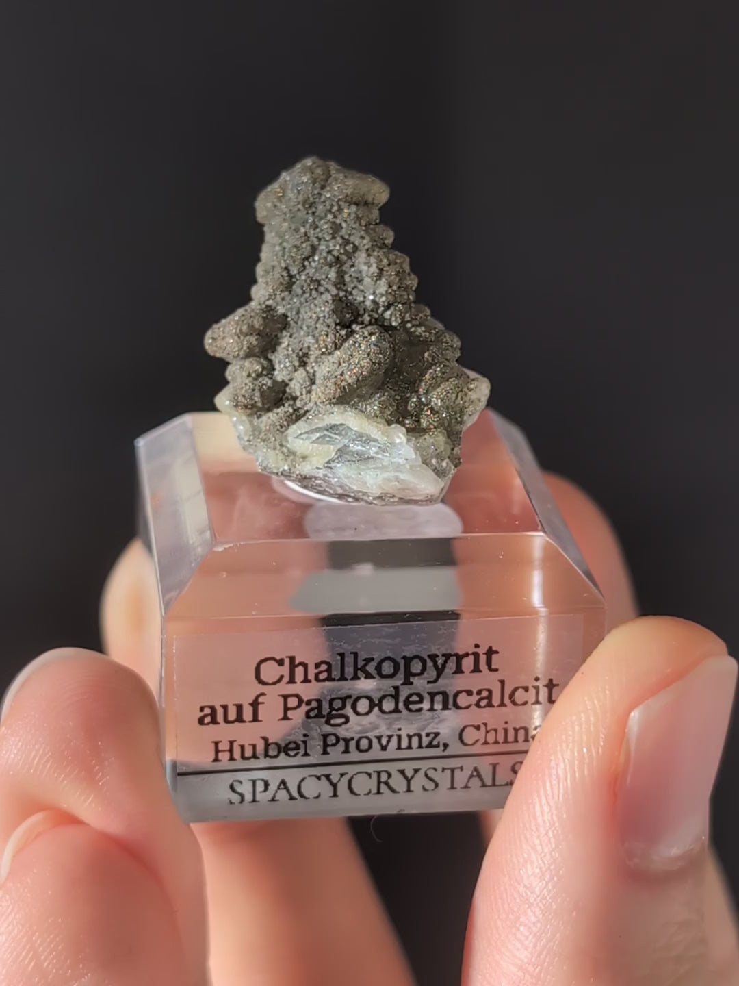 Chalkopyrit auf Pagodencalcit aus Hubei