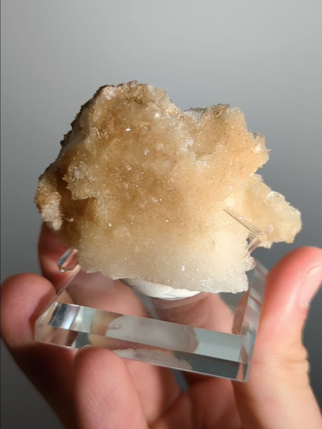 Selenit Schwerter Gips var. Spanien III