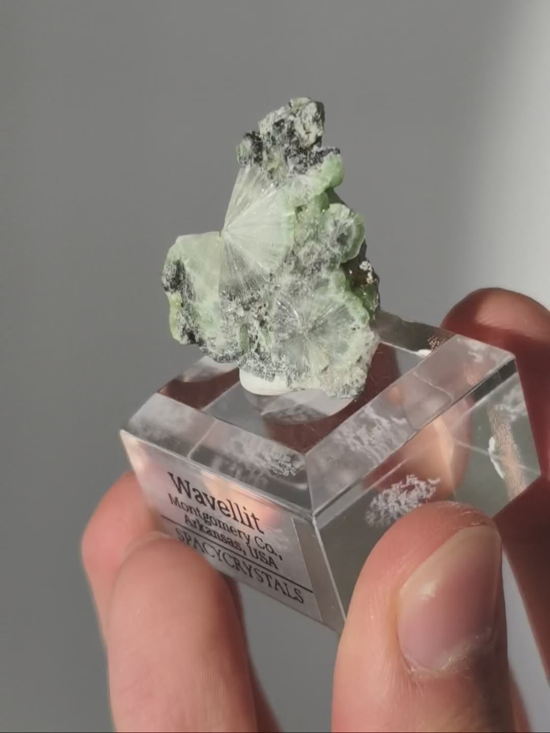 Wavellit aus Arkansas, USA, auf Podest