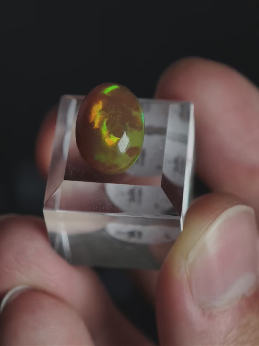 Welo Opal Cabochon auf Podest