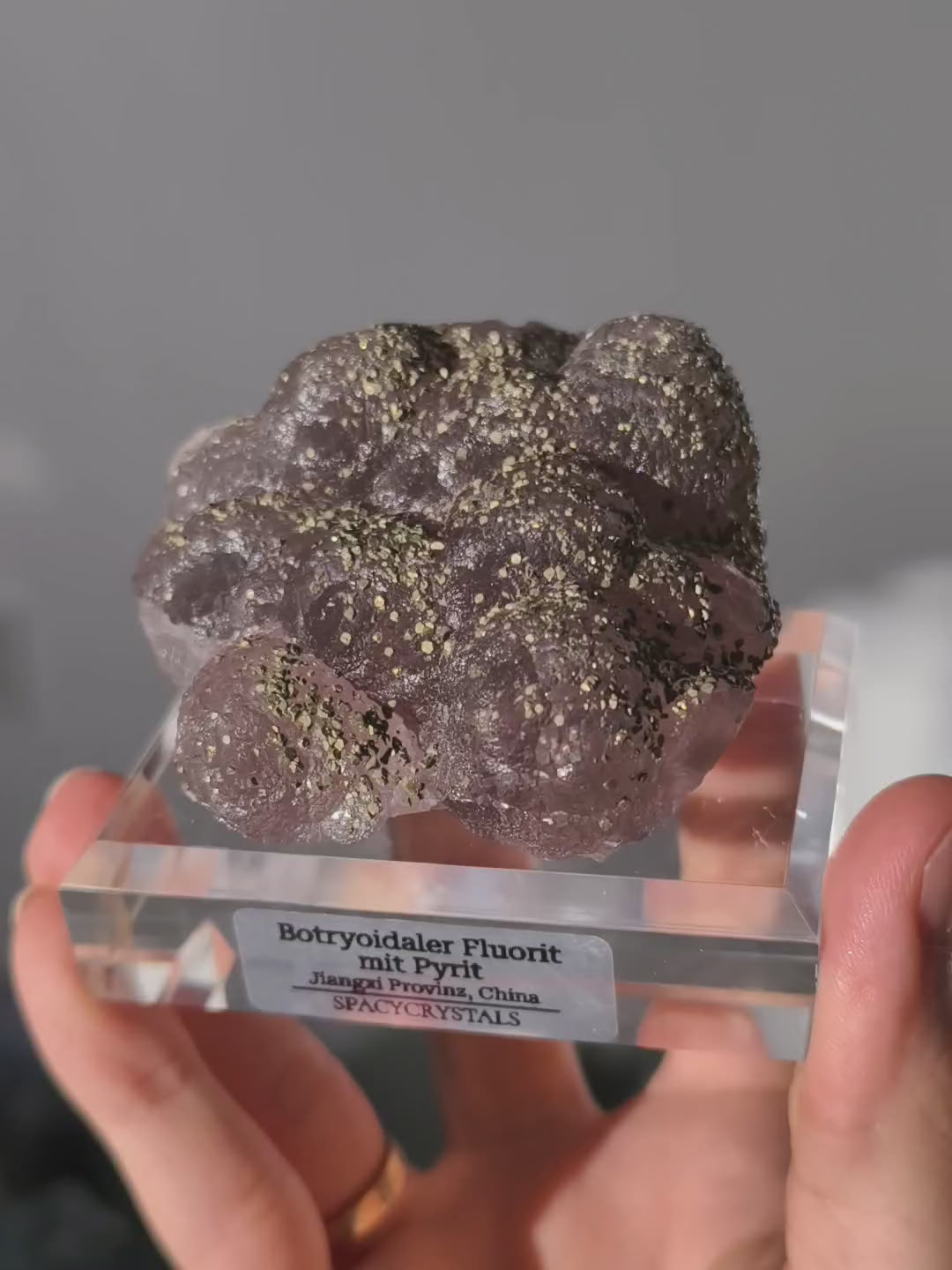 Botryoidaler fliederfarbener Fluorit mit Pyrit (besonders)