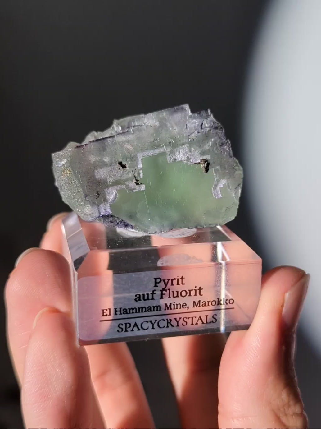 grün/lila Fluorit mit Pyrit - El Hammam
