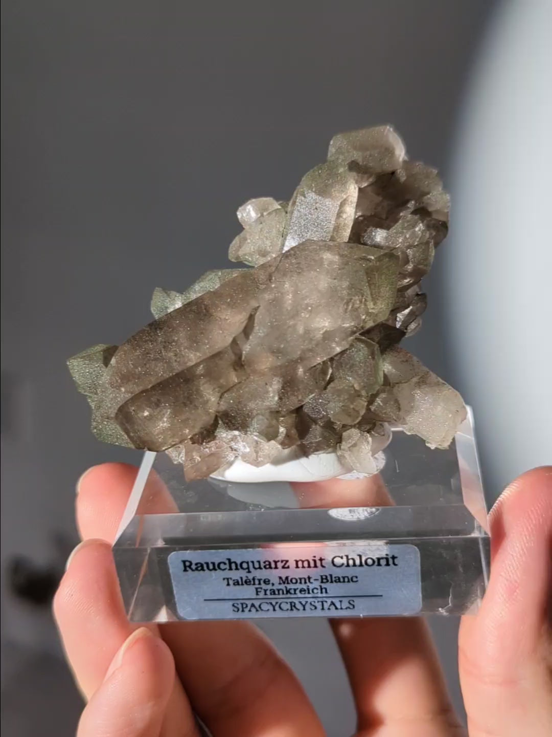 Alpine Rauchquarz Doppelender Stufe mit Chlorit Mont-Blanc
