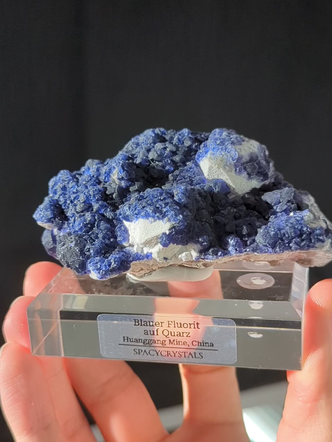 Blaubeer Fluorit auf Quarz 🫐 Huanggang Mine