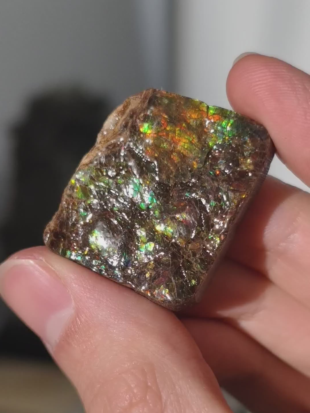 Ammolit Stück aus Kanada