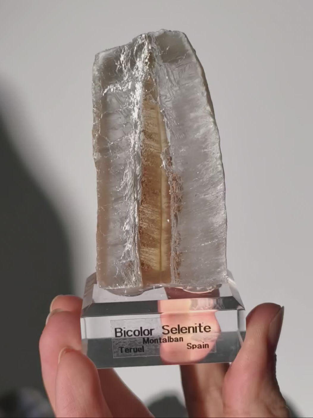 Bicolor Selenit aus Spanien auf Podest