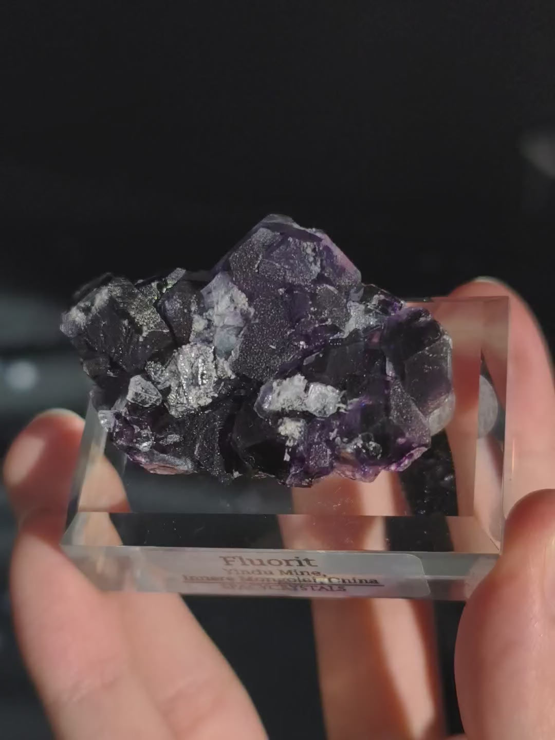 Dunkler Lila Fluorit Dodekaeder Yindu Mine