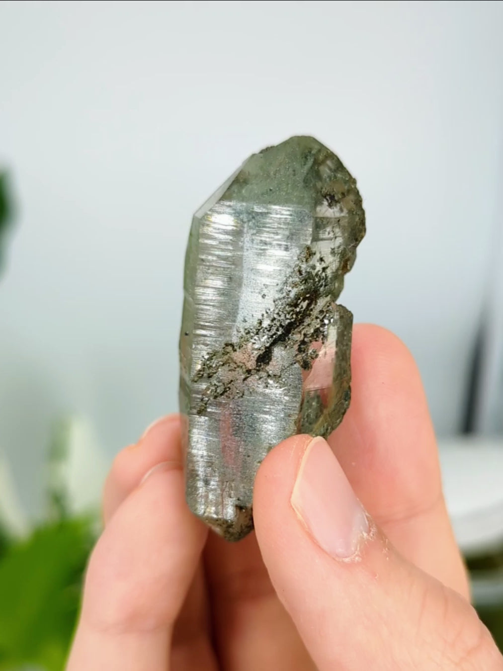 grüner Himalaya Chlorit Quarz mit Rutil