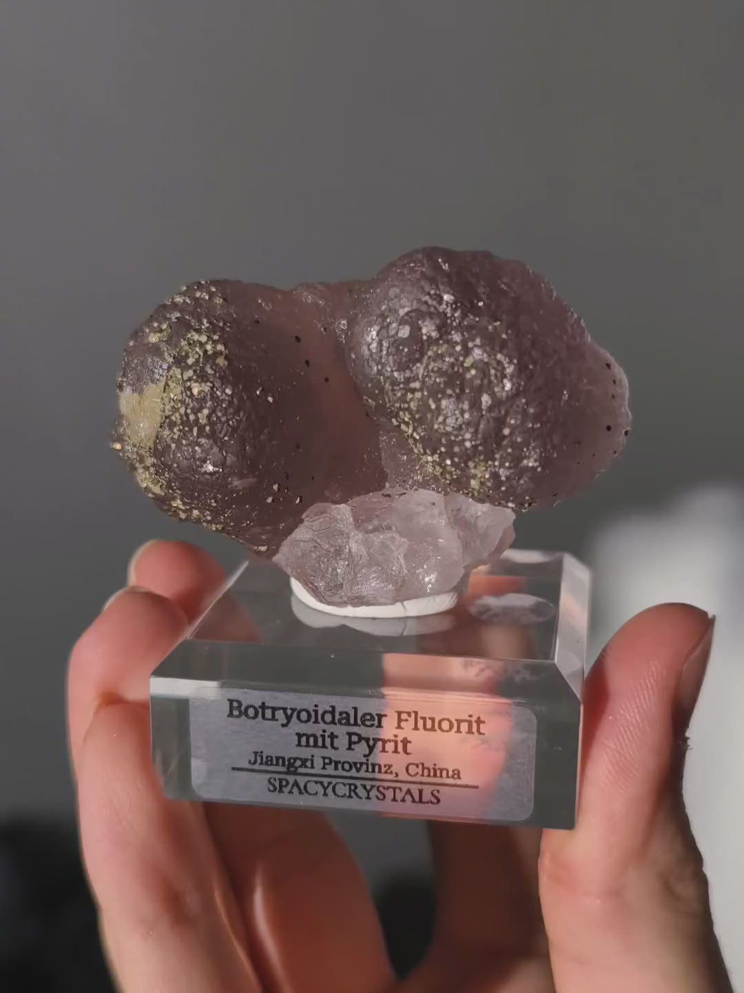 Botryoidaler fliederfarbener Fluorit mit Pyrit (besonders)