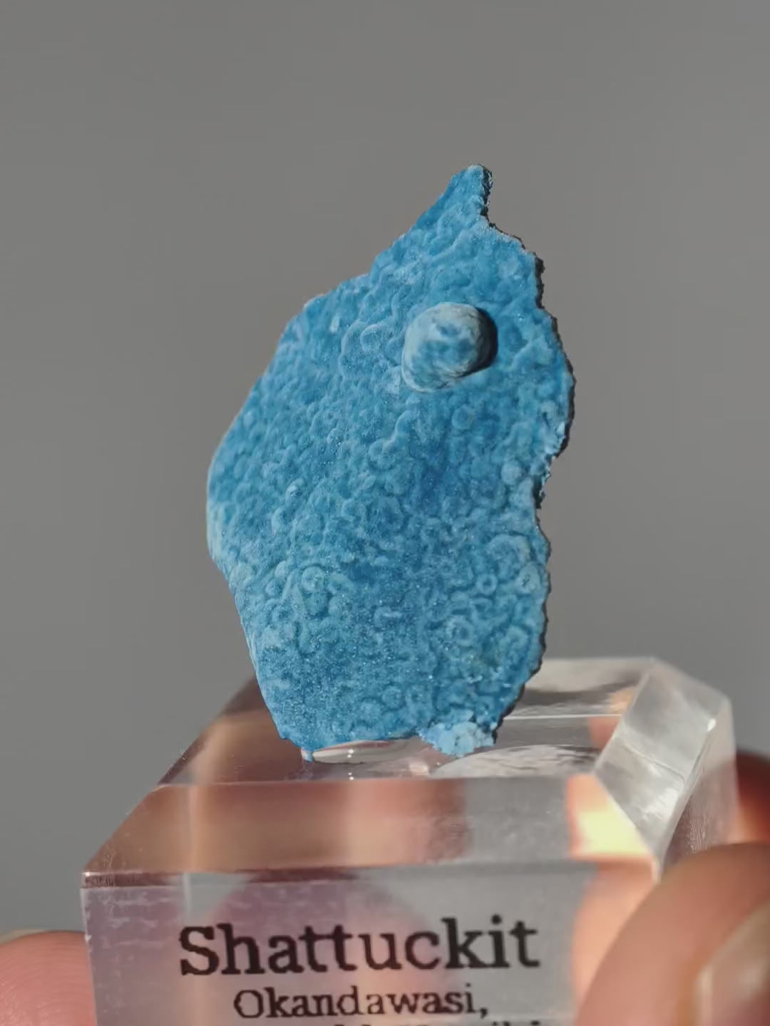 Botryoidaler blauer Samt Shattuckit auf Podest