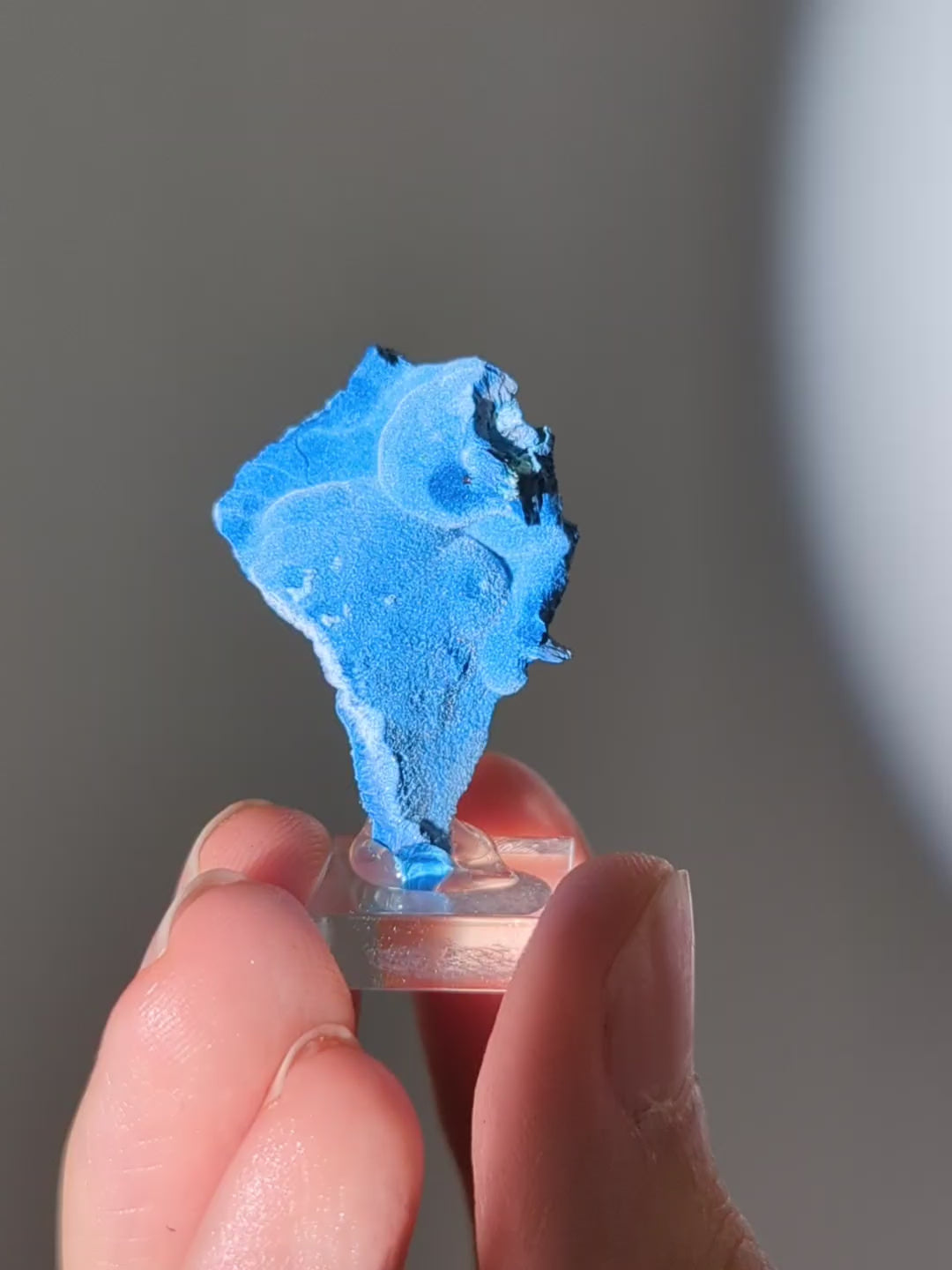 Samtiger blauer Shattuckit aus Namibia