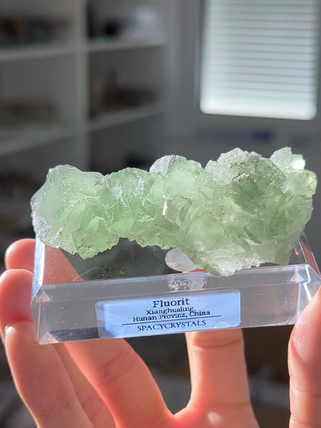 Glasig grüner Fluorit Xianghualing Mine