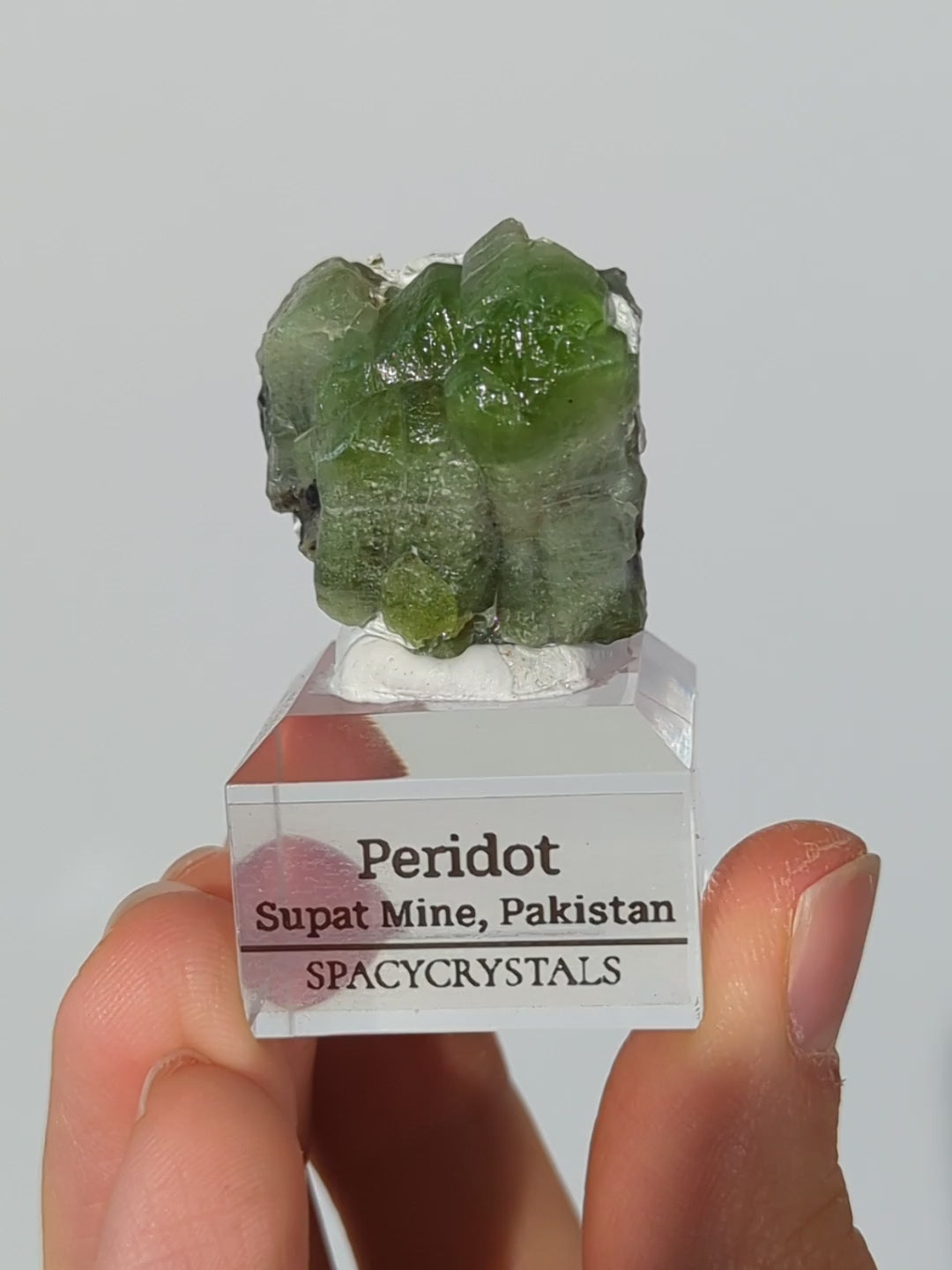 Grüner Peridot aus Pakistan
