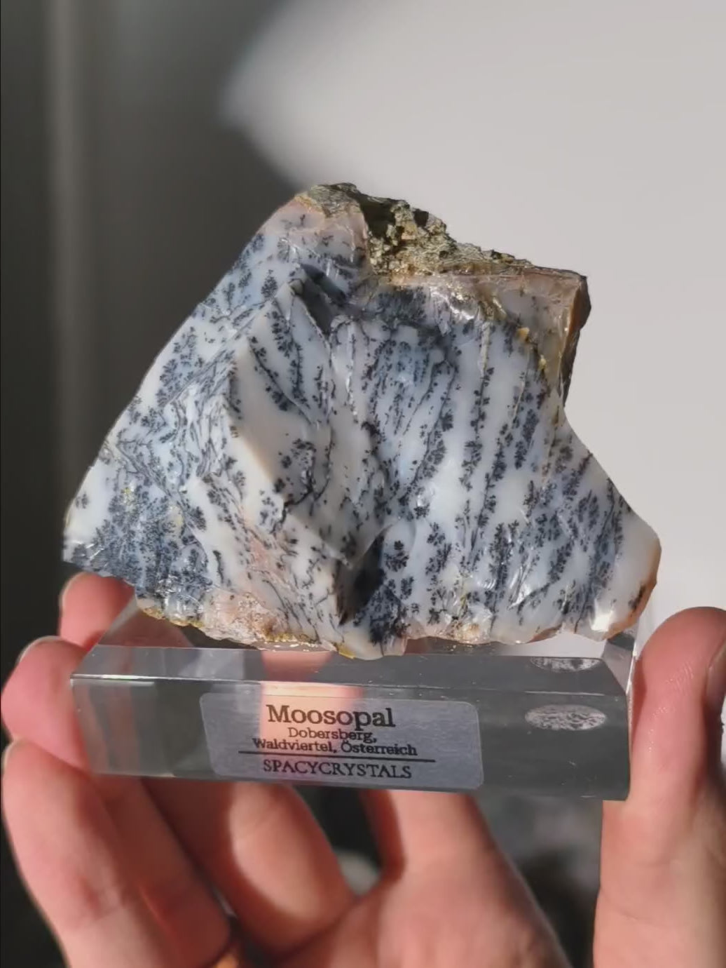 Großer Moosopal (Dendritenopal) aus Österreich
