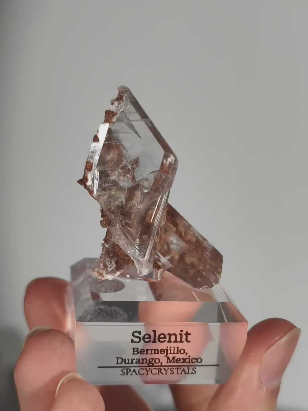 Glasklarer Durango Selenit (Gips) Kristall auf Matrix