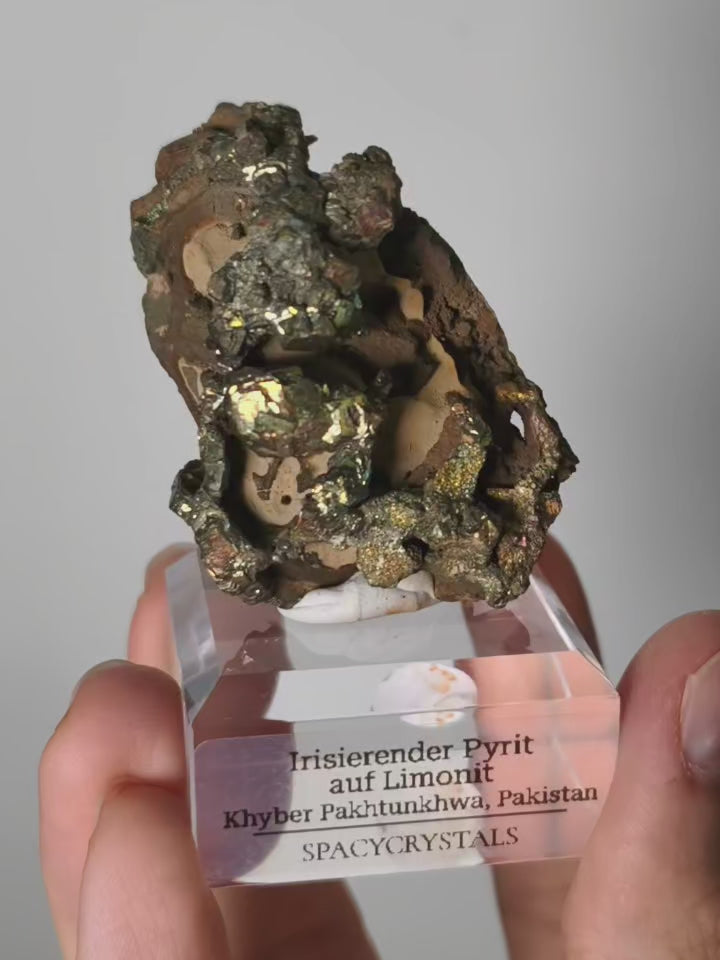 Irisierender Pyrit auf Limonit