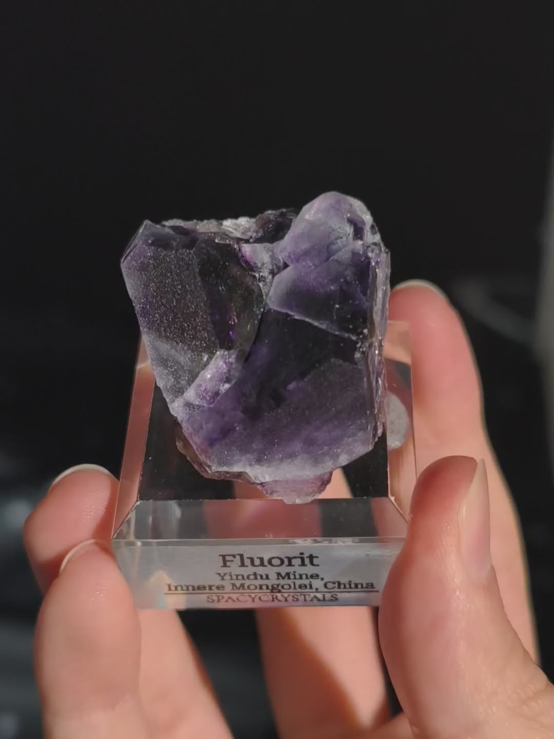 Dunkler Lila Fluorit Dodekaeder Yindu Mine