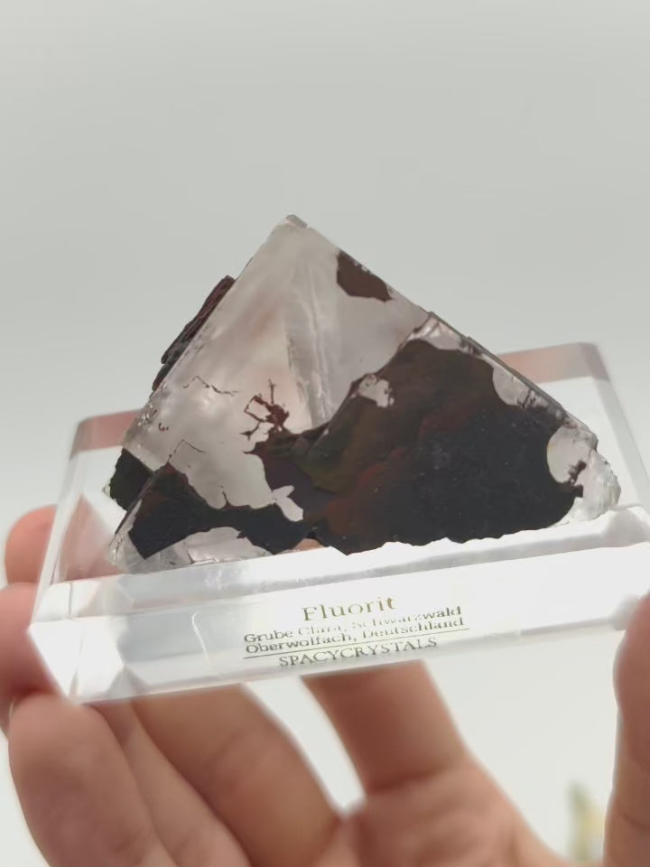 Grube Clara Fluorit mit Goethit (Schwarzwald)