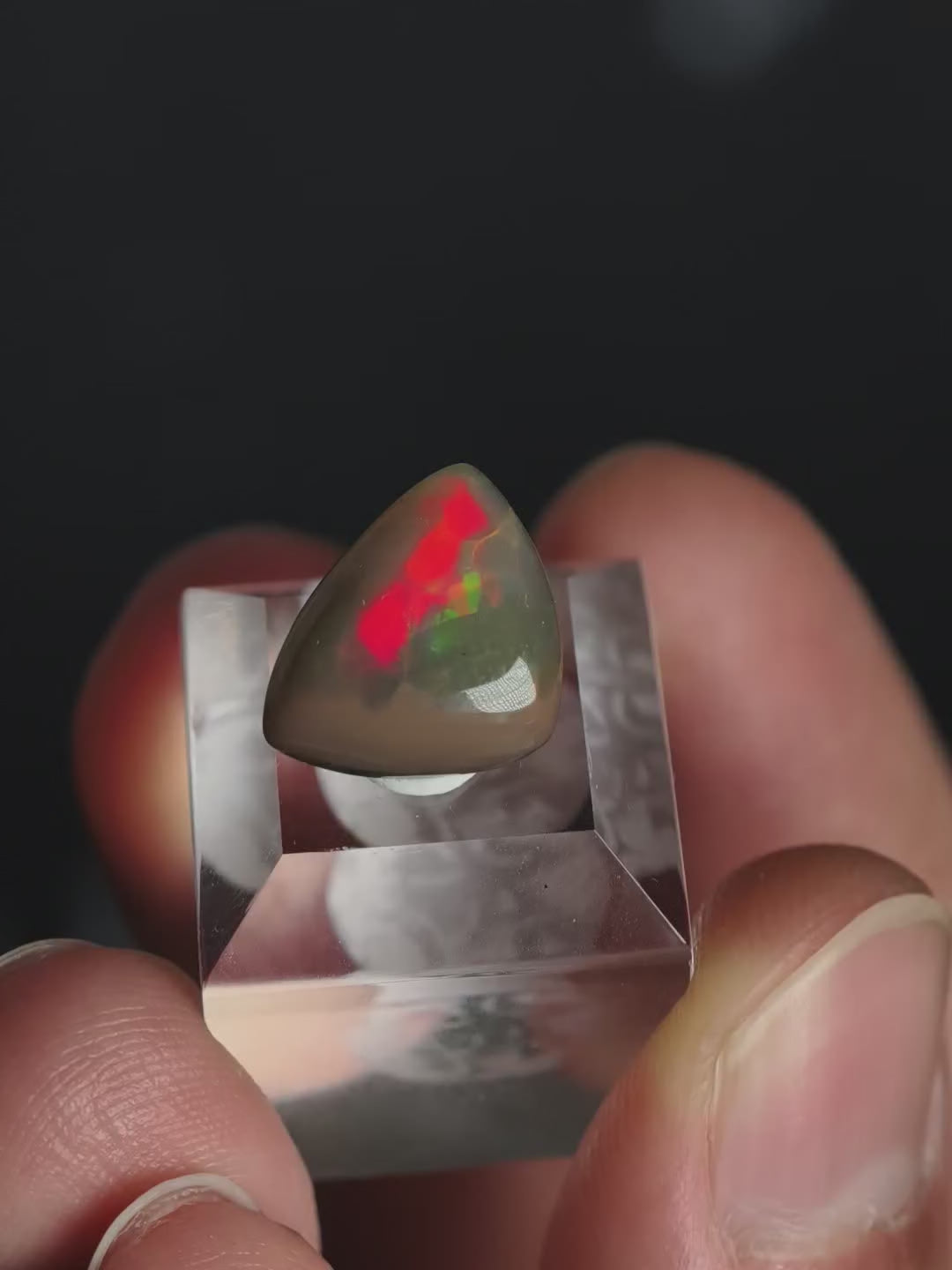 Welo Opal Cabochon auf Podest