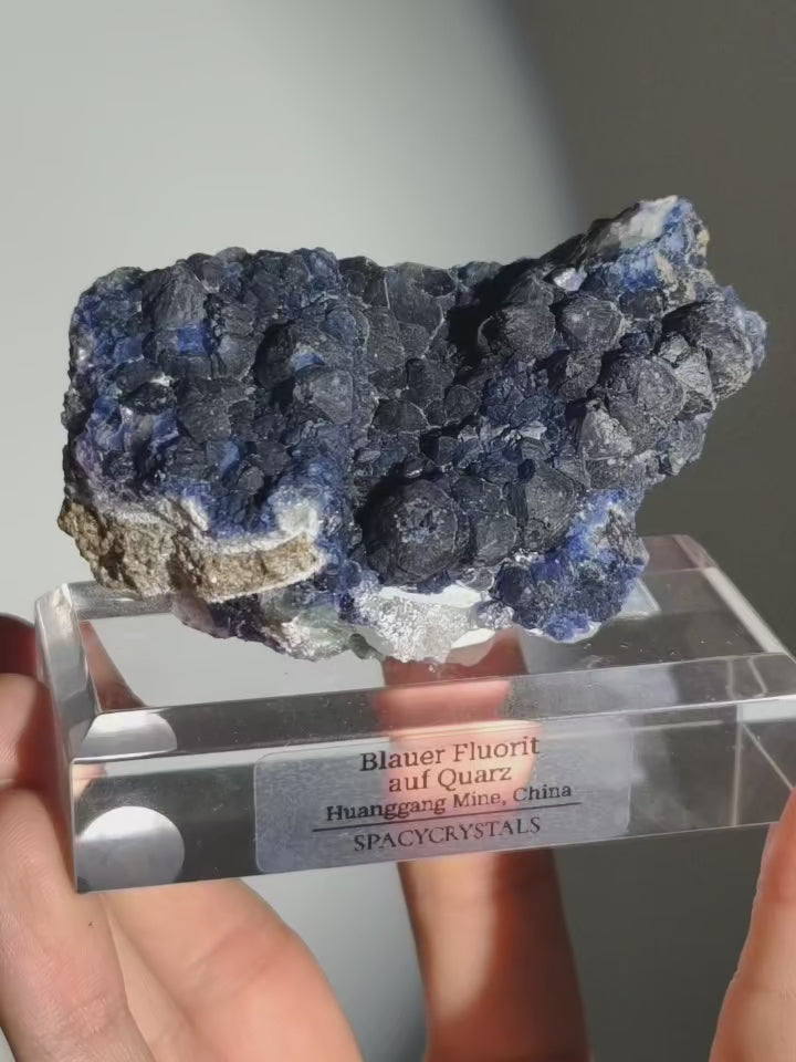 Blaubeer Fluorit auf Quarz 🫐 Huanggang Mine
