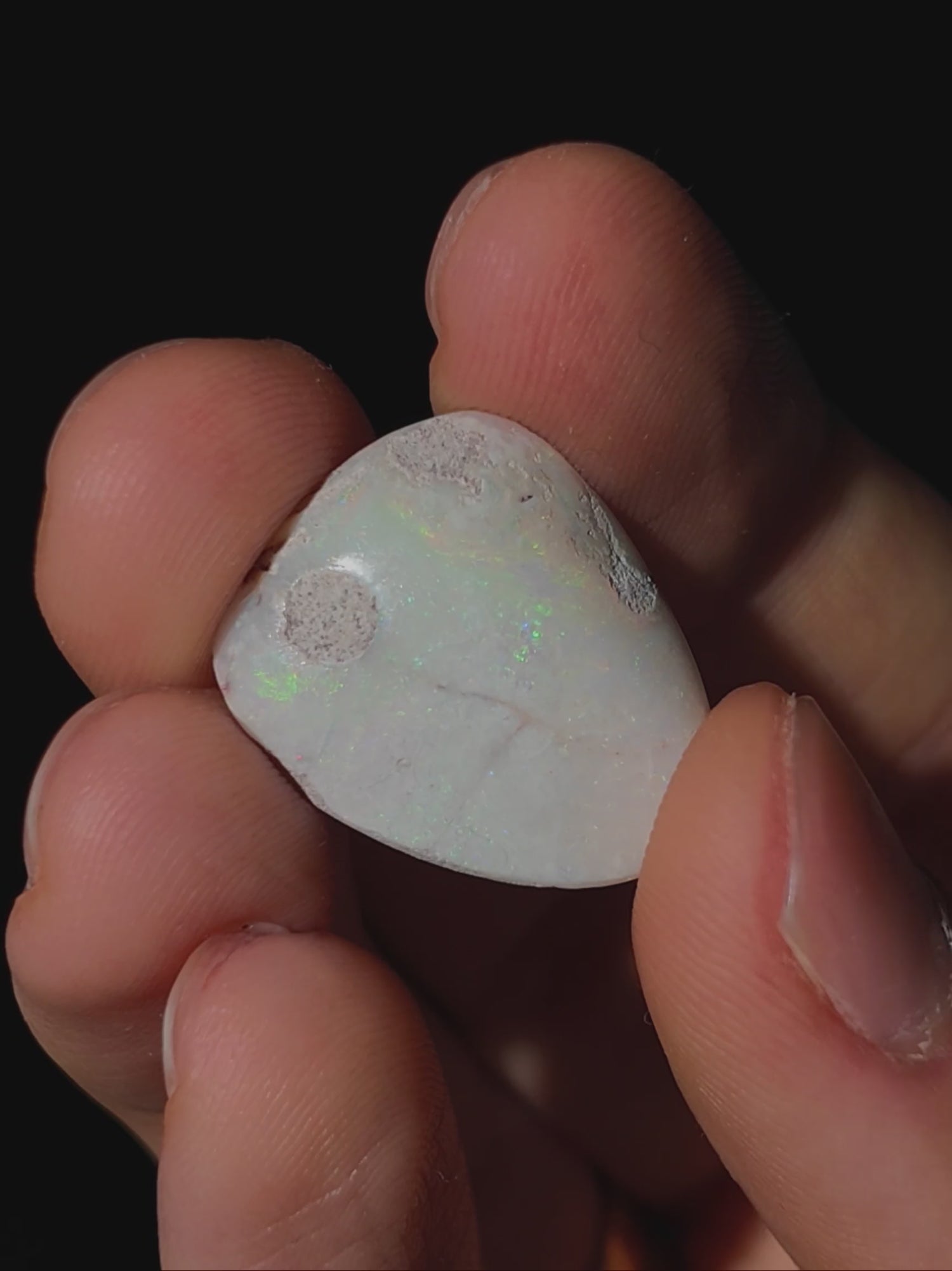 Opalisierte Muschel aus Australien