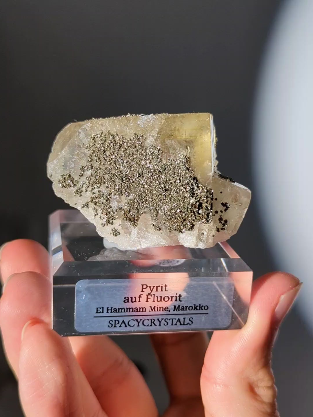 gelber Fluorit mit Pyrit - El Hammam