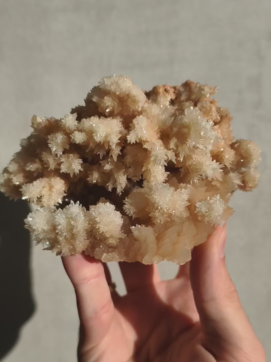 Wow! Feine Calcit Höhle 🪸 aus Wenshan, China