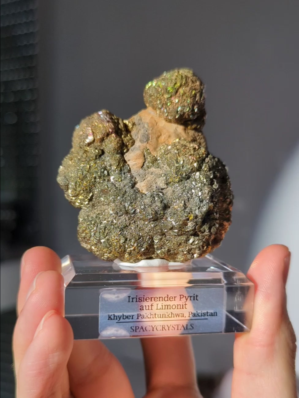 Irisierender Pyrit auf Limonit