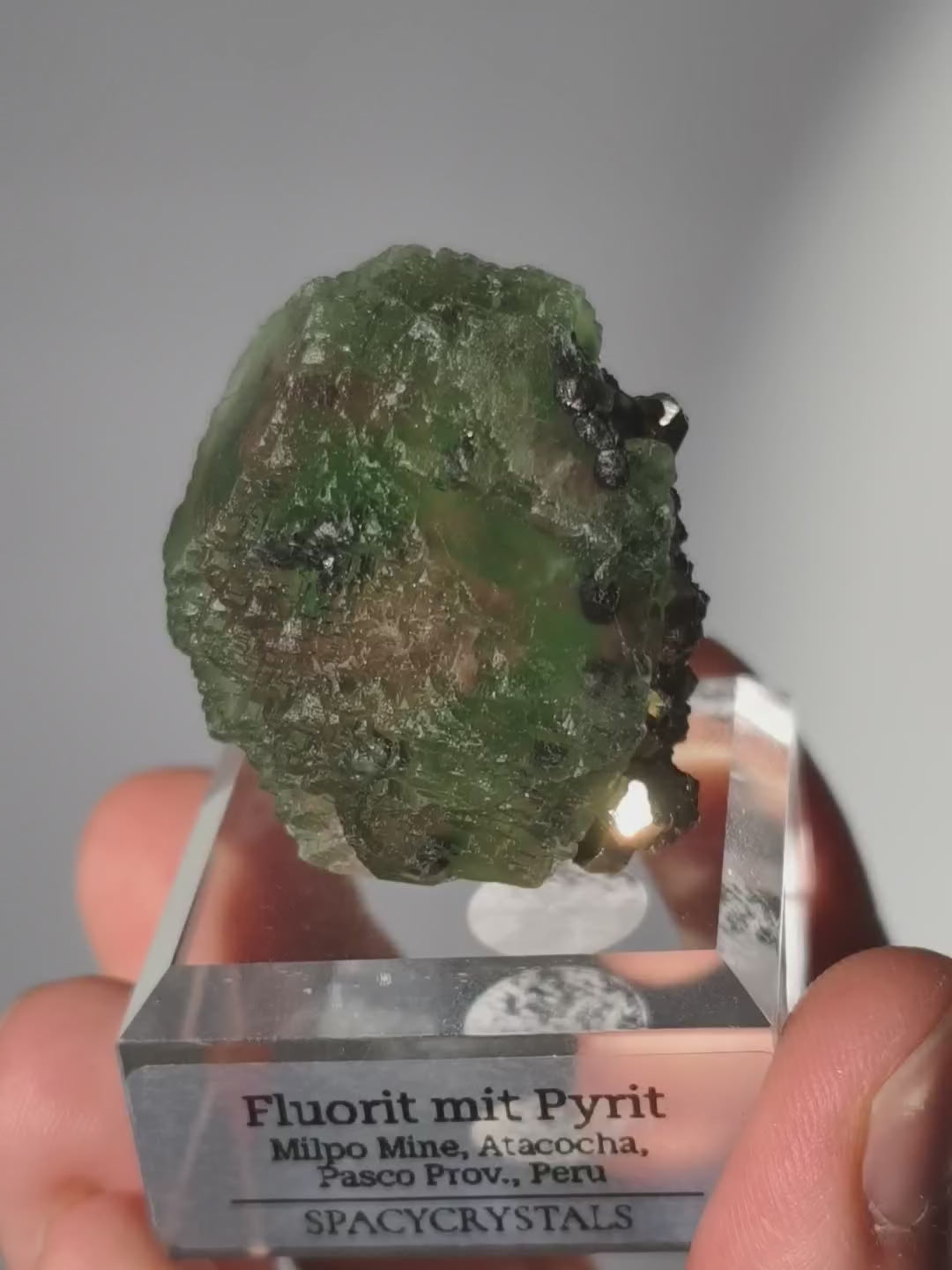 Stufiger grüner Fluorit mit Pyrit &amp; Sphalerit, Milpo Mine, Peru