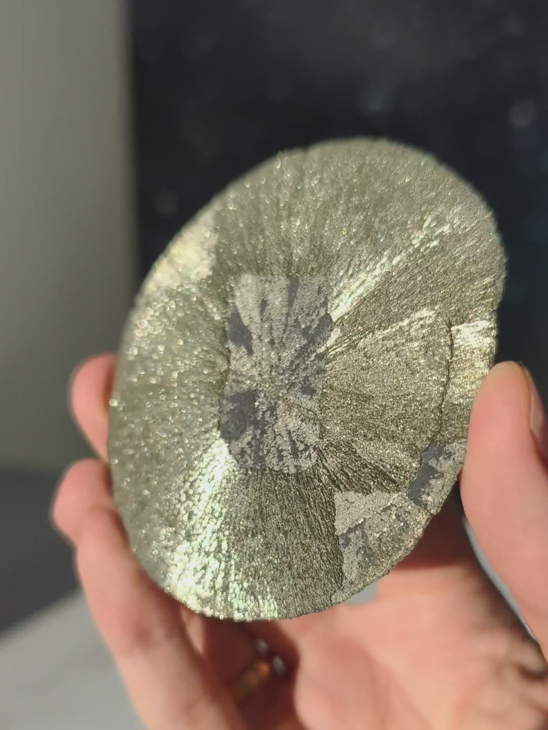 Pyrit Sonne Hohe Qualität aus Illinois