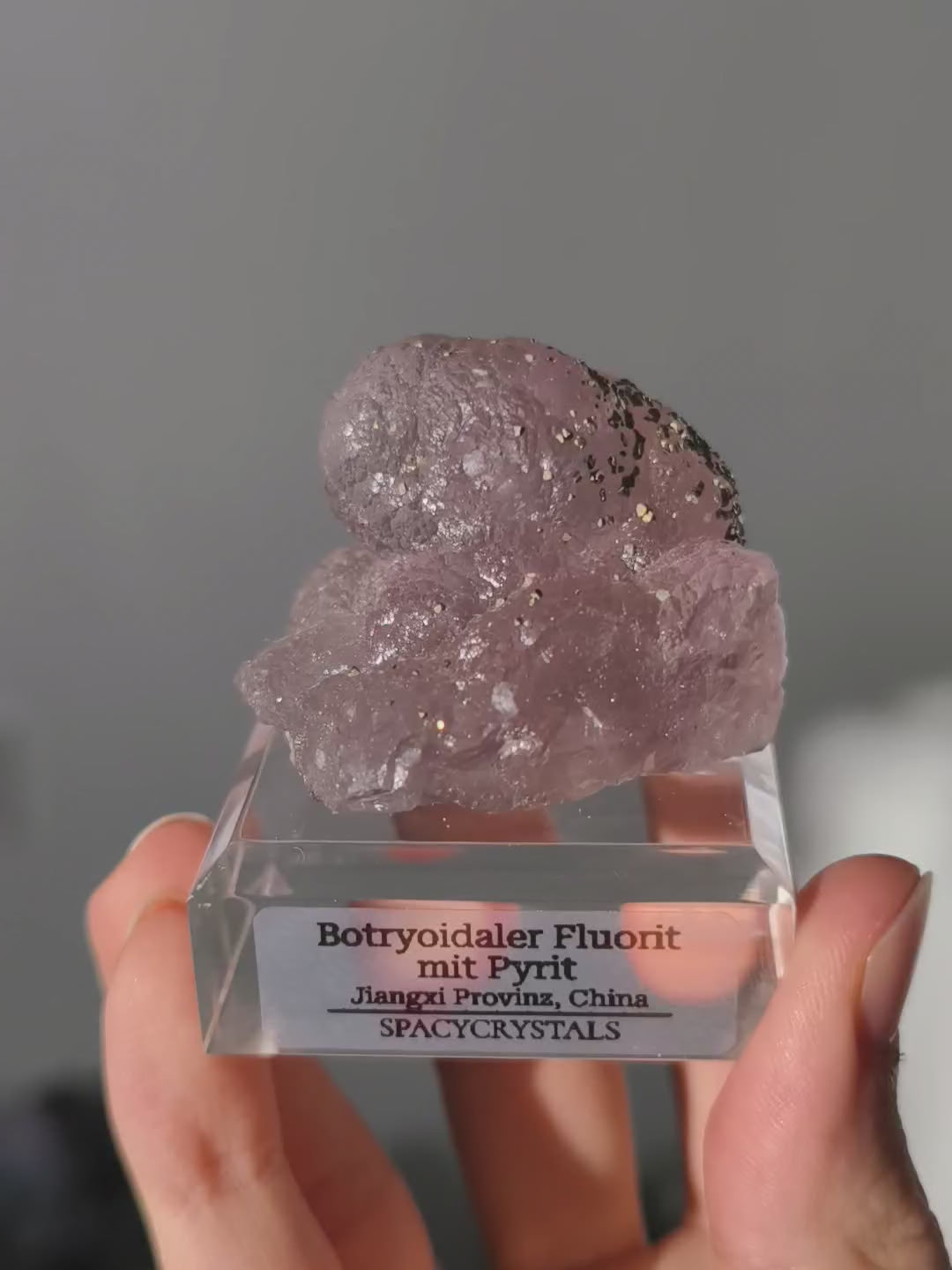 Botryoidaler fliederfarbener Fluorit mit Pyrit (besonders)