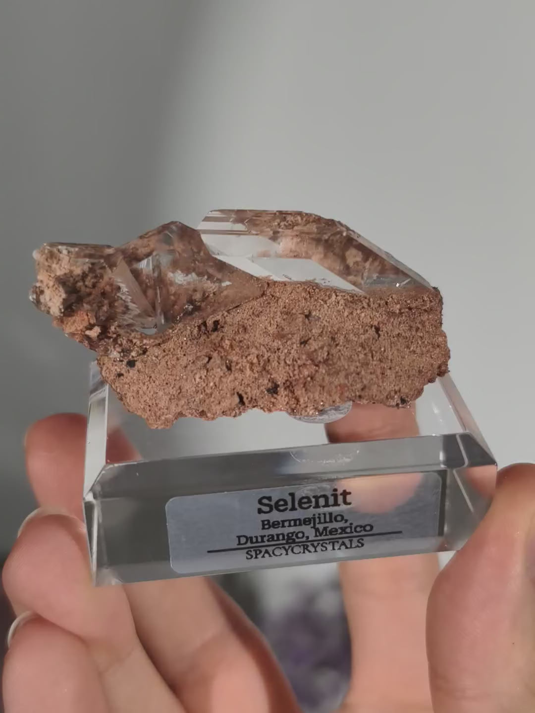 Glasklarer Durango Selenit (Gips) Kristall auf Matrix