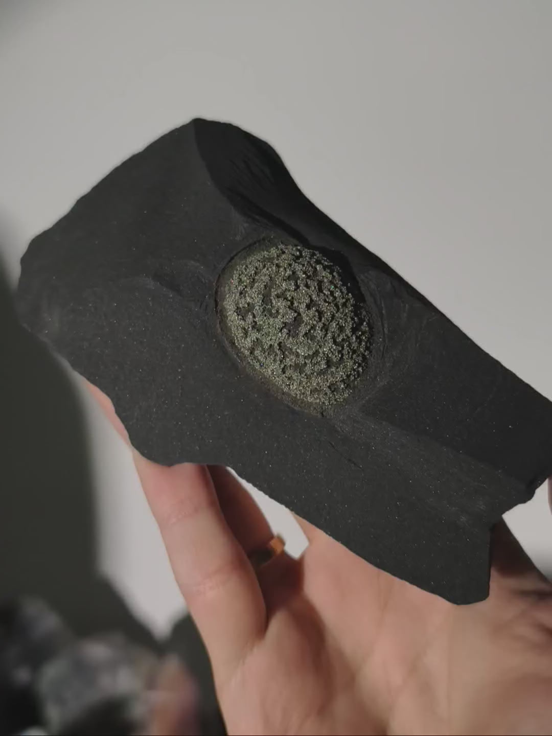 Pyrit Konkretion Kugel in Schiefer Matrix