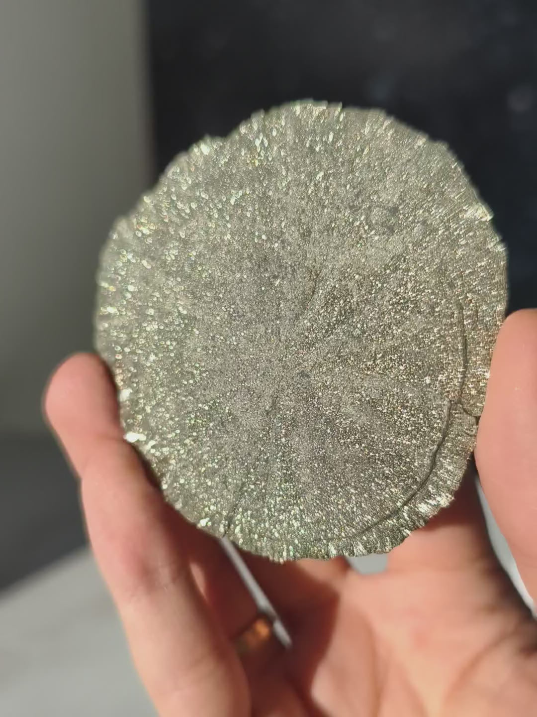 Pyrit Sonne Hohe Qualität aus Illinois