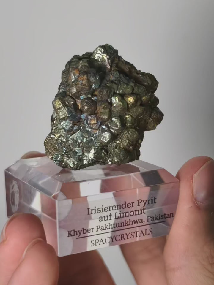 Irisierender Pyrit auf Limonit